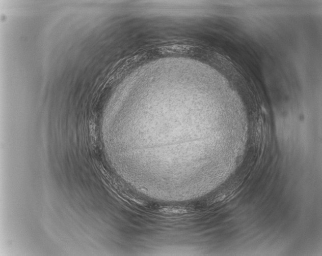 X0000052600749200507292122