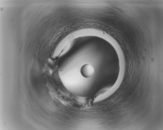 X0000052600750200507292122