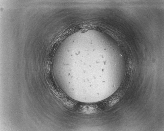 X0000052600751200507292122