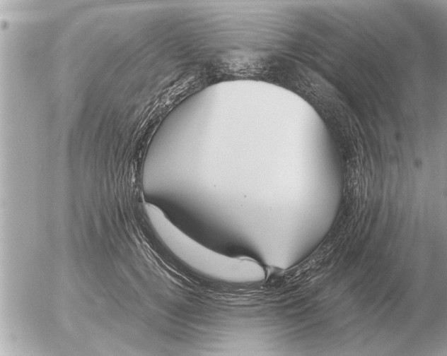 X0000052600752200507292122