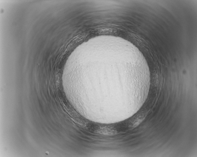 X0000052600753200507292122