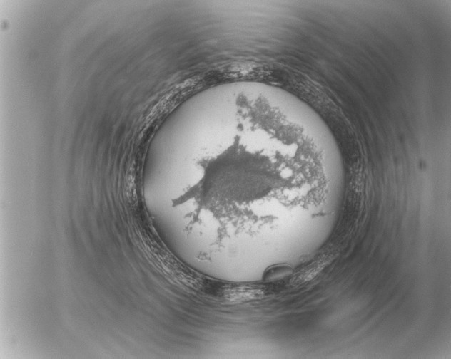 X0000052600754200507292122