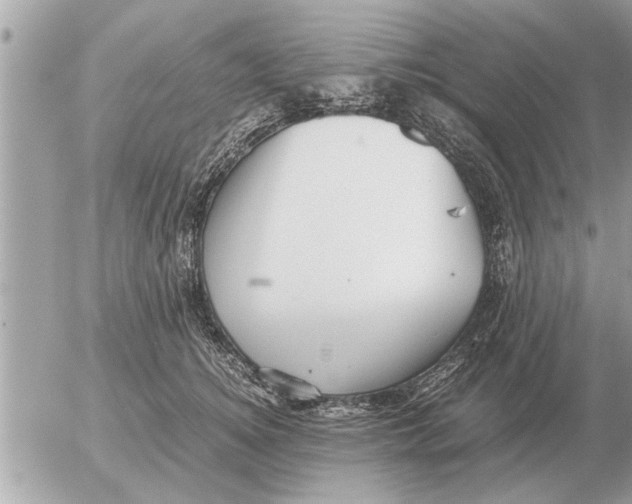 X0000052600756200507292122