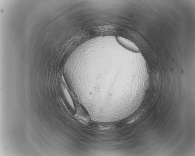 X0000052600757200507292122