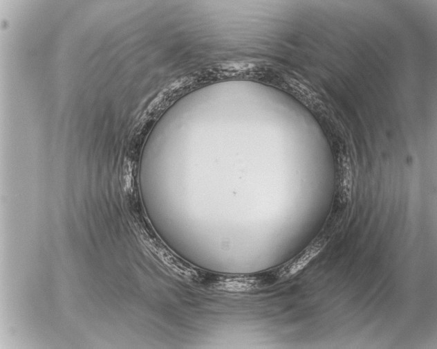 X0000052600758200507292123