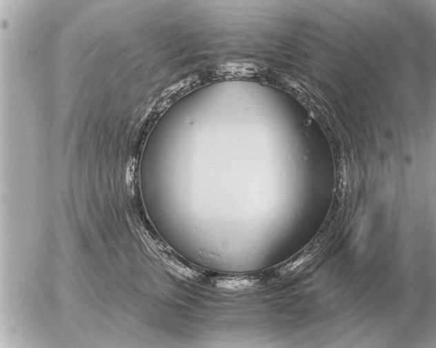 X0000052600759200507292123