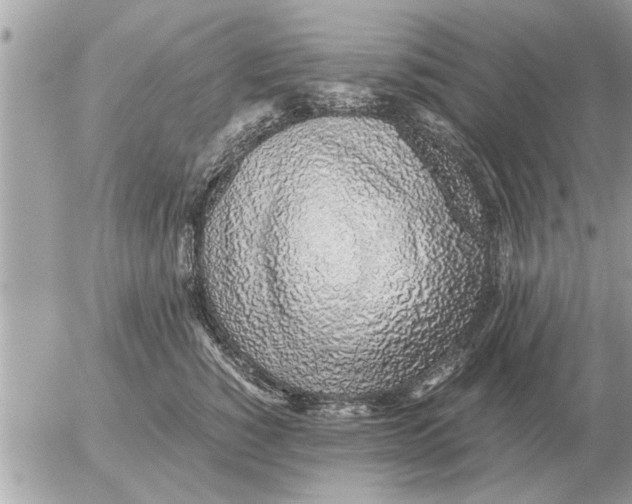 X0000052600760200507292123