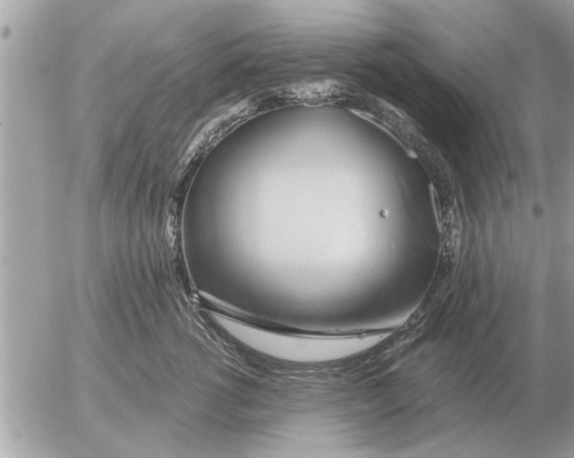 X0000052600762200507292123