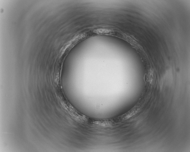 X0000052600763200507292123