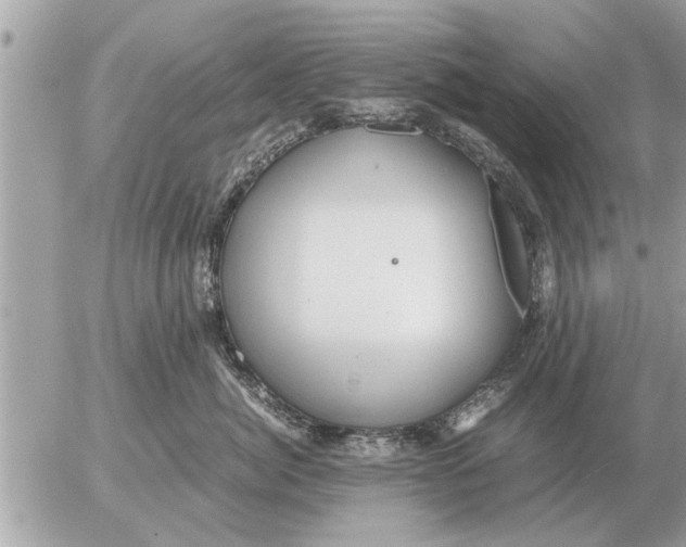 X0000052600764200507292123