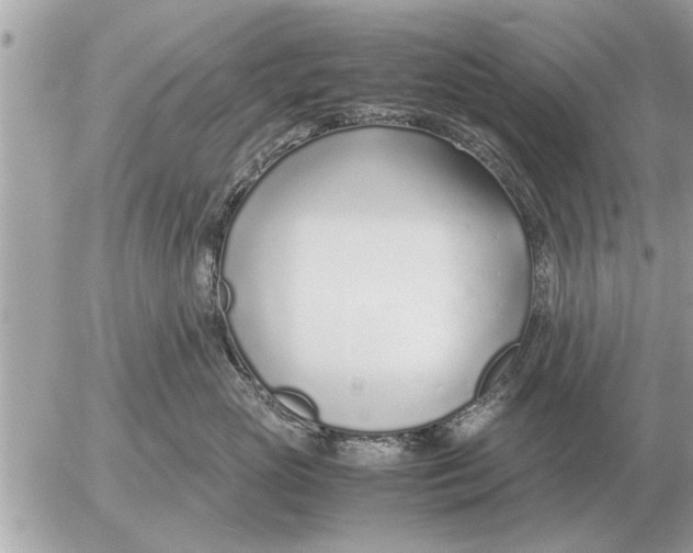 X0000052600765200507292123