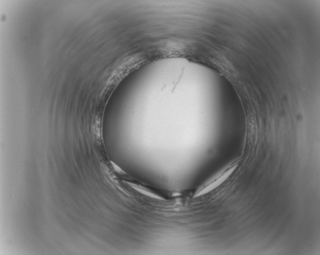 X0000052600766200507292123