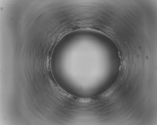 X0000052600767200507292123