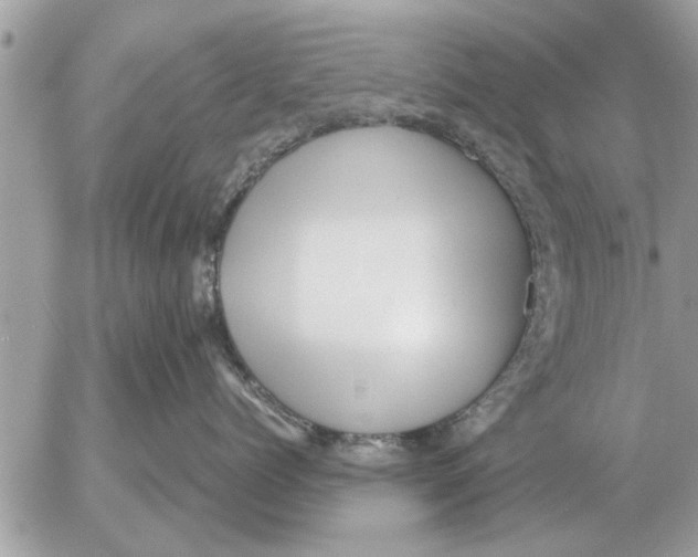 X0000052600768200507292123