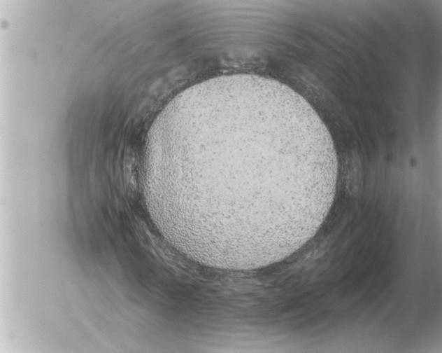 X0000052600770200507292122