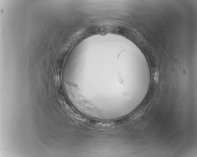 X0000052600771200507292122