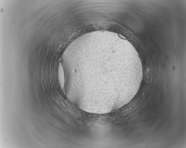 X0000052600772200507292122