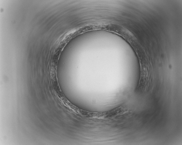 X0000052600773200507292122