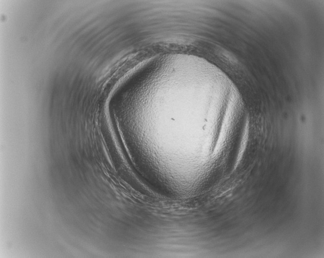 X0000052600774200507292122