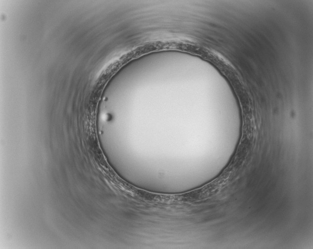 X0000052600775200507292122