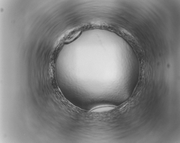 X0000052600776200507292122