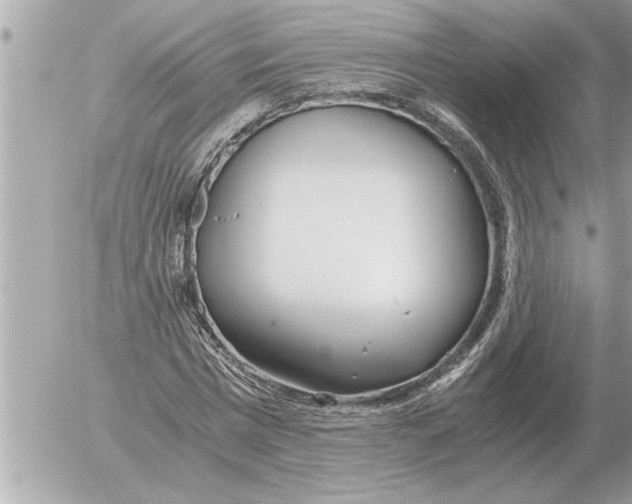 X0000052600777200507292122