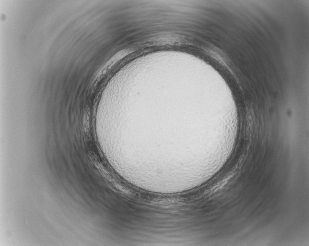 X0000052600778200507292122