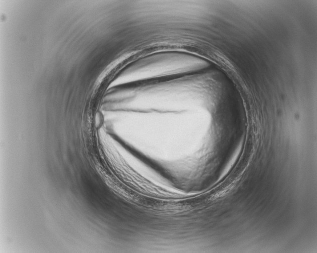 X0000052600779200507292122