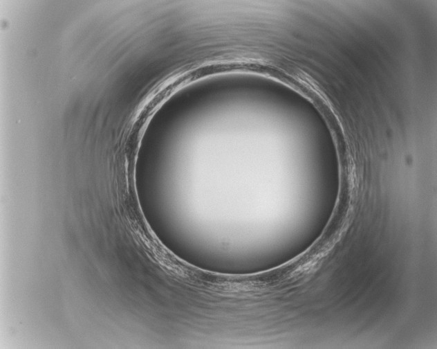 X0000052600781200507292122