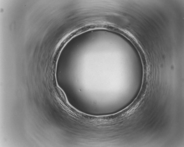 X0000052600783200507292122