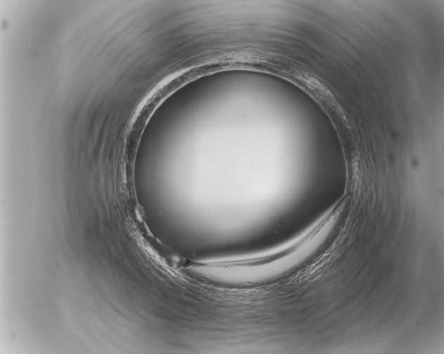 X0000052600784200507292122