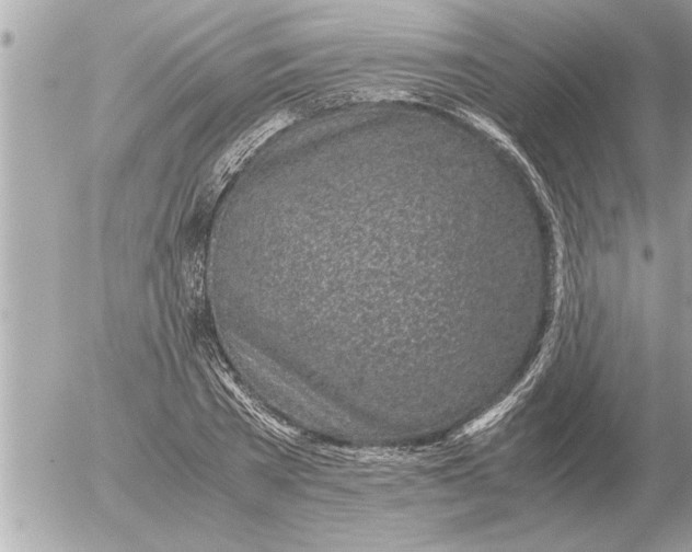 X0000052600785200507292122