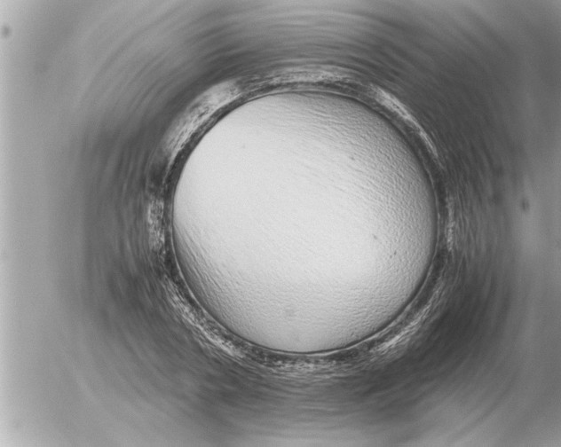 X0000052600786200507292122