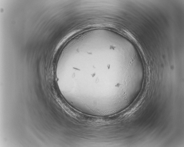 X0000052600787200507292122