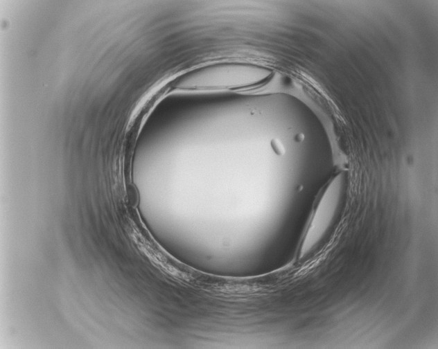 X0000052600788200507292122