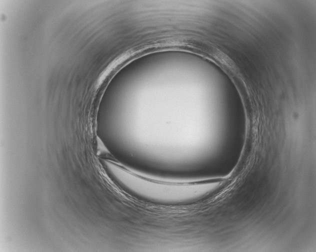 X0000052600789200507292122