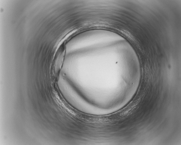 X0000052600790200507292122