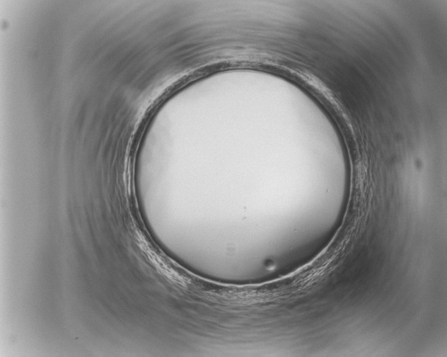 X0000052600791200507292122