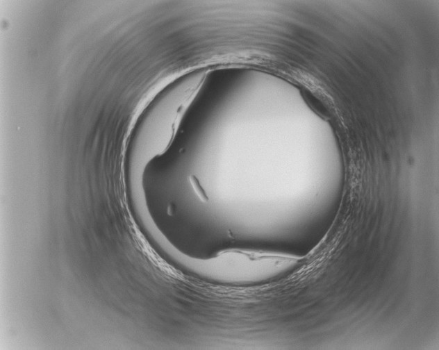 X0000052600792200507292121