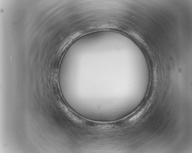 X0000052600793200507292121