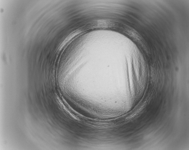 X0000052600794200507292121