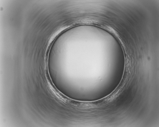 X0000052600795200507292121