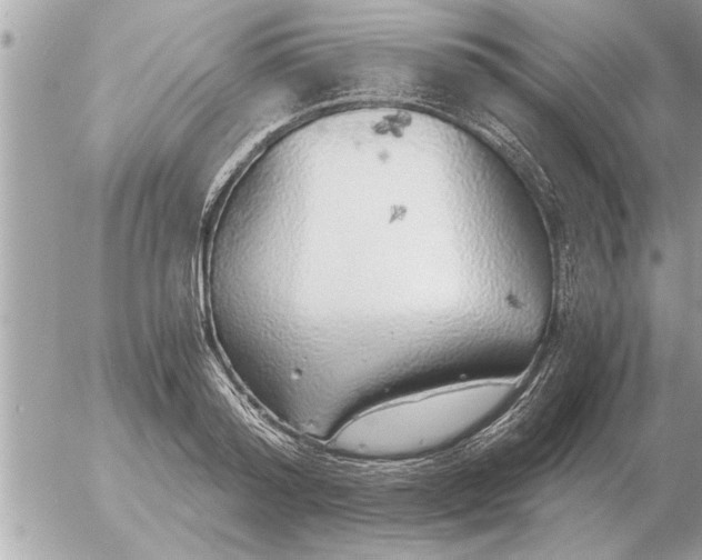 X0000052600796200507292121