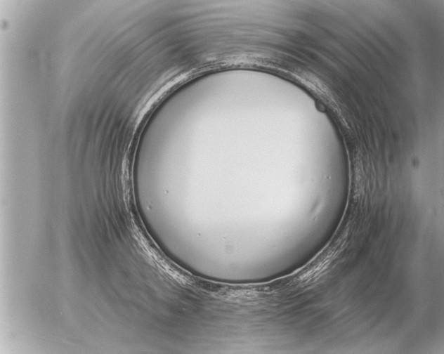 X0000052600798200507292121