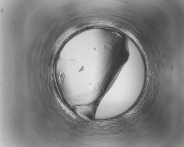 X0000052600799200507292121