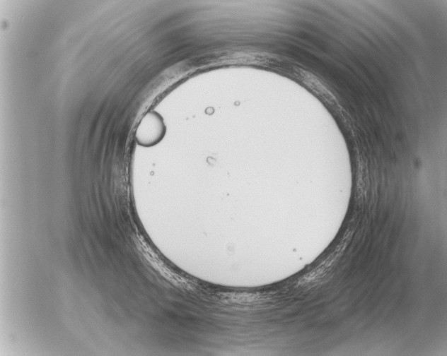 X0000052600800200507292121