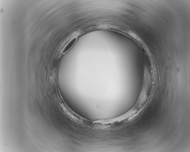 X0000052600801200507292121