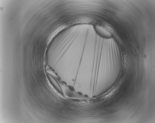 X0000052600802200507292121