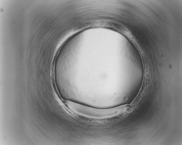 X0000052600803200507292121