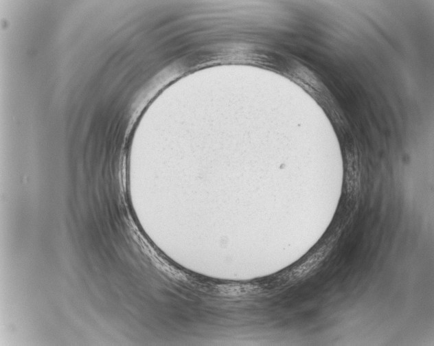 X0000052600804200507292121